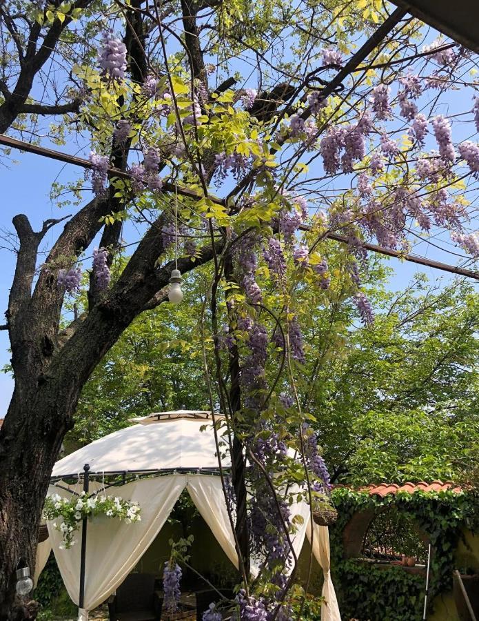 Lux Garden Home D Kumanovo Kültér fotó